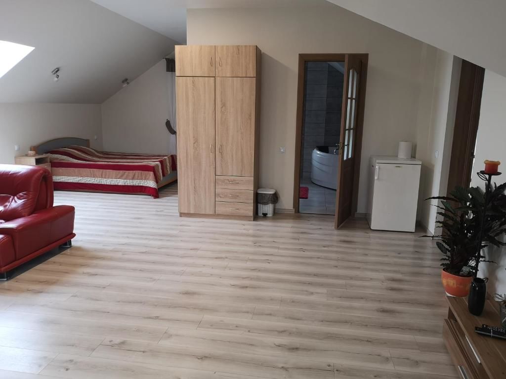 Апартаменты Apartamentai su dziakuzi Клайпеда-19