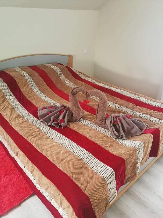 Апартаменты Apartamentai su dziakuzi Клайпеда-6